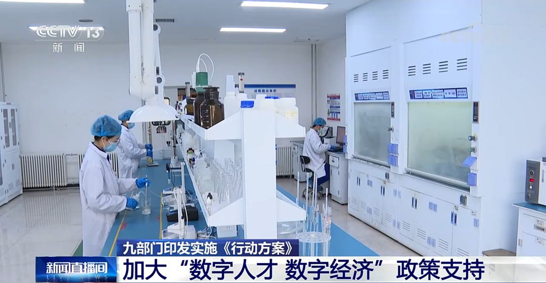 加快数字人才培育支撑数字经济发展行动方案（2024—2026年）